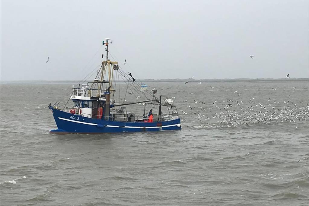 Nordsee Ferienwohnung Fuer 2 Personen Schillig Extérieur photo
